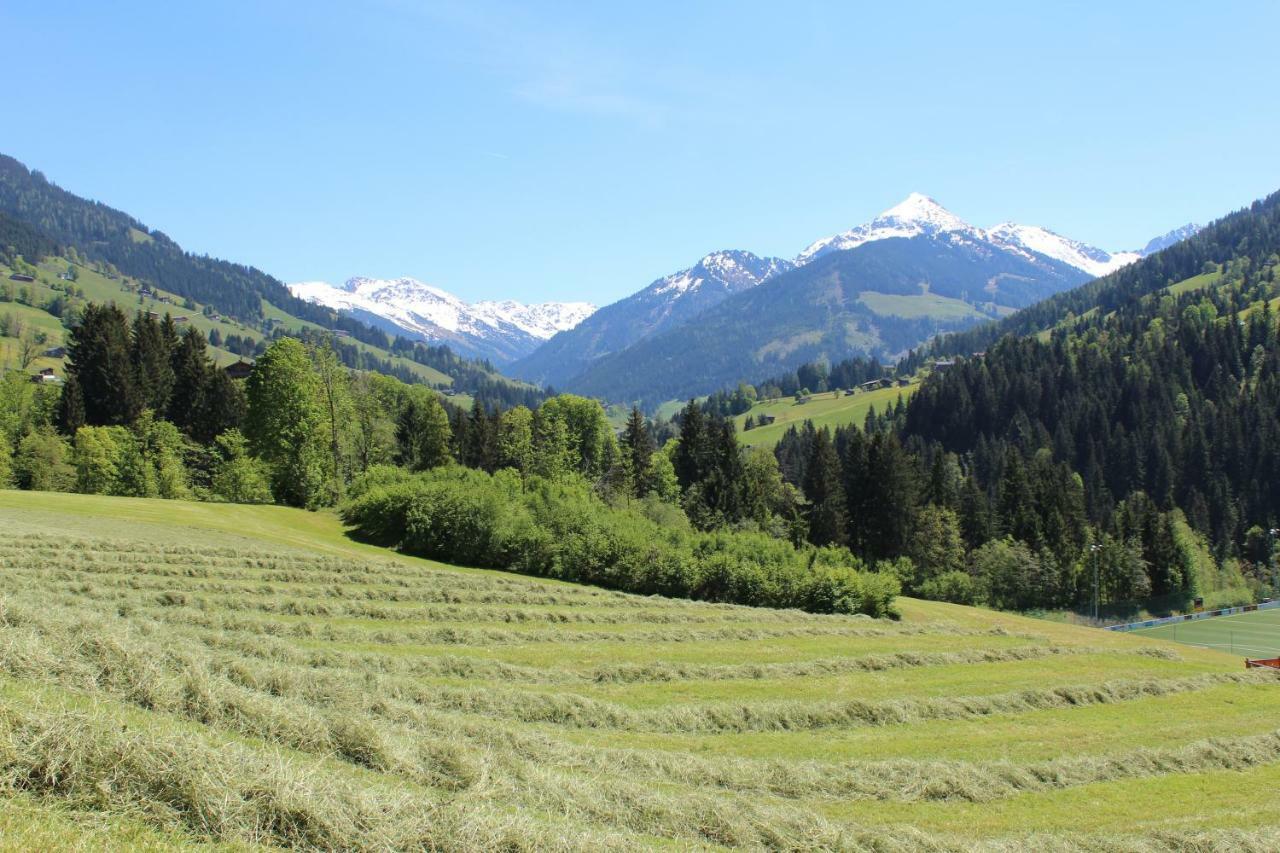 Moahof Leilighet Alpbach Eksteriør bilde